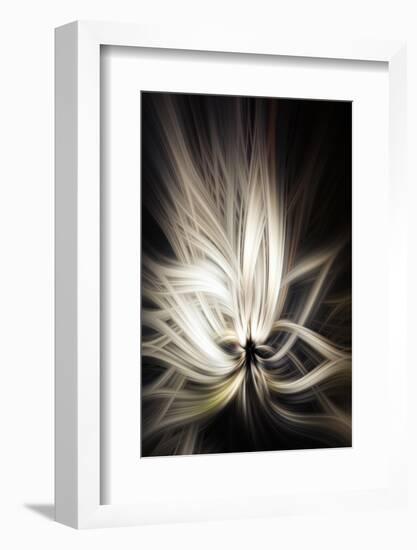 Trinity Collection 133-Philippe Sainte-Laudy-Framed Photographic Print