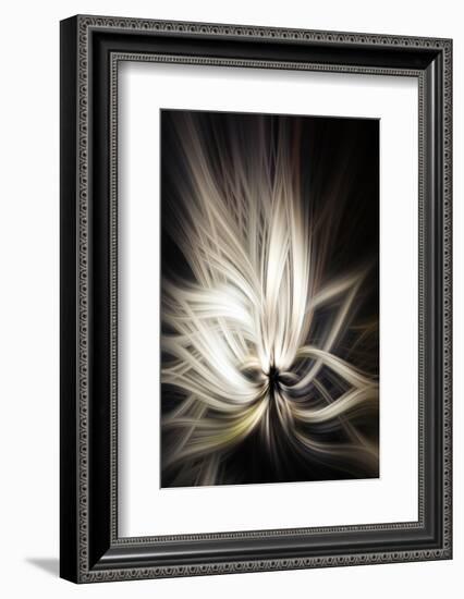 Trinity Collection 133-Philippe Sainte-Laudy-Framed Photographic Print