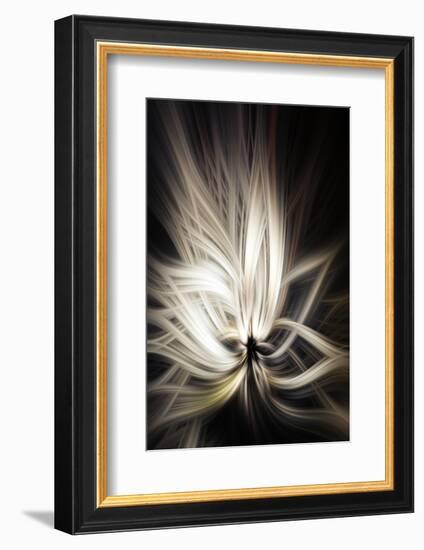 Trinity Collection 133-Philippe Sainte-Laudy-Framed Photographic Print