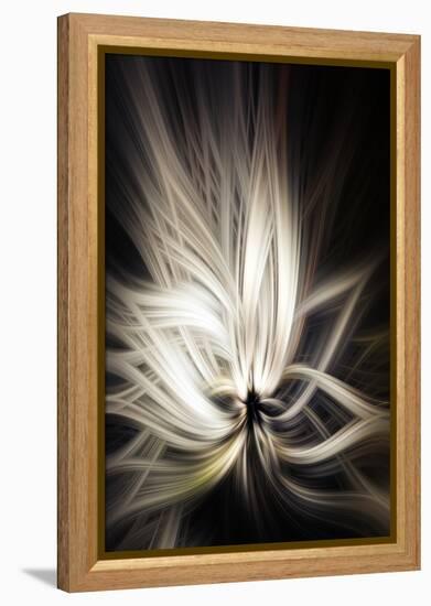 Trinity Collection 133-Philippe Sainte-Laudy-Framed Premier Image Canvas
