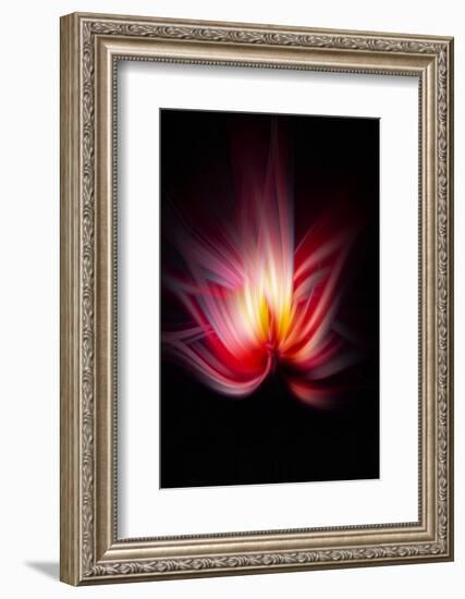 Trinity Collection 134-Philippe Sainte-Laudy-Framed Photographic Print