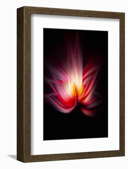 Trinity Collection 134-Philippe Sainte-Laudy-Framed Photographic Print