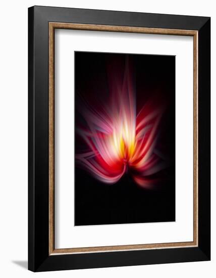 Trinity Collection 134-Philippe Sainte-Laudy-Framed Photographic Print