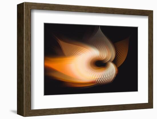 Trinity Collection 137-Philippe Sainte-Laudy-Framed Photographic Print