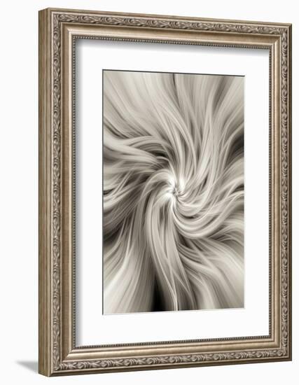 Trinity Collection 20-Philippe Saint-Laudy-Framed Photographic Print