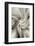 Trinity Collection 20-Philippe Saint-Laudy-Framed Photographic Print
