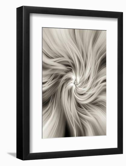 Trinity Collection 20-Philippe Saint-Laudy-Framed Photographic Print