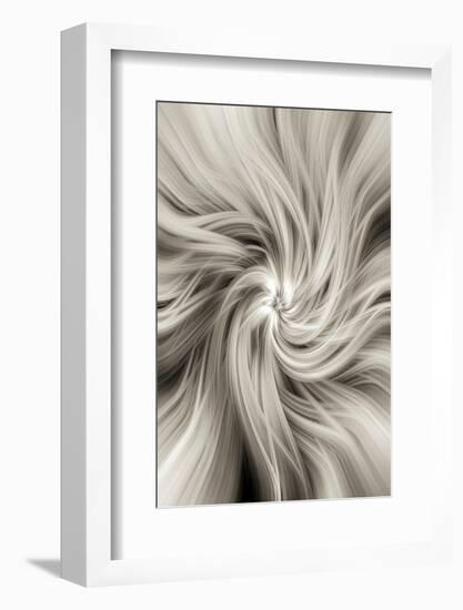 Trinity Collection 20-Philippe Saint-Laudy-Framed Photographic Print