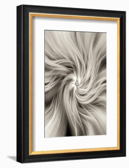 Trinity Collection 20-Philippe Saint-Laudy-Framed Photographic Print