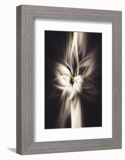 Trinity Collection 26-Philippe Saint-Laudy-Framed Photographic Print