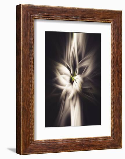 Trinity Collection 26-Philippe Saint-Laudy-Framed Photographic Print