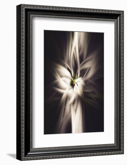 Trinity Collection 26-Philippe Saint-Laudy-Framed Photographic Print