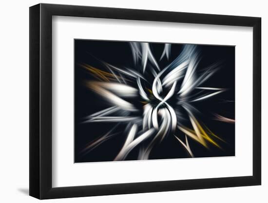 Trinity Collection 27-Philippe Saint-Laudy-Framed Photographic Print