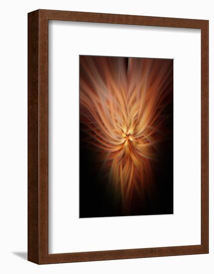 Trinity Collection 28-Philippe Saint-Laudy-Framed Photographic Print