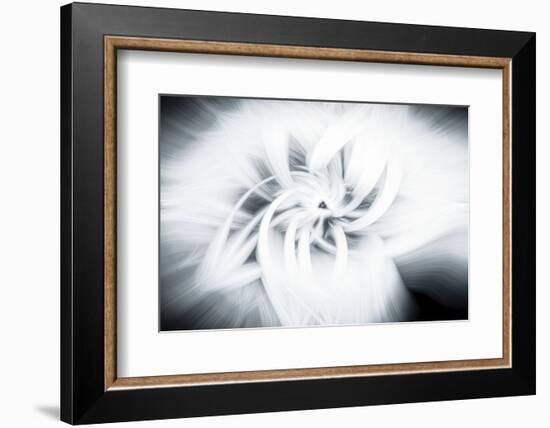 Trinity Collection 42-Philippe Saint-Laudy-Framed Photographic Print