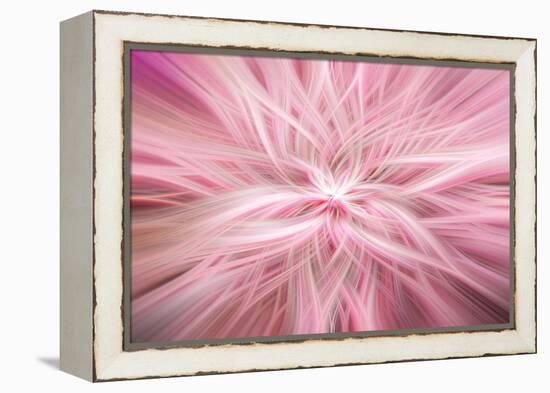 Trinity Collection 76-Philippe Saint-Laudy-Framed Premier Image Canvas