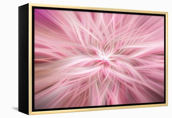 Trinity Collection 76-Philippe Saint-Laudy-Framed Premier Image Canvas