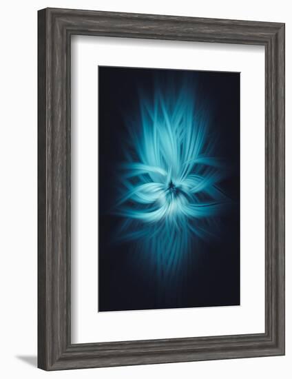 Trinity Collection 80-Philippe Saint-Laudy-Framed Premium Photographic Print