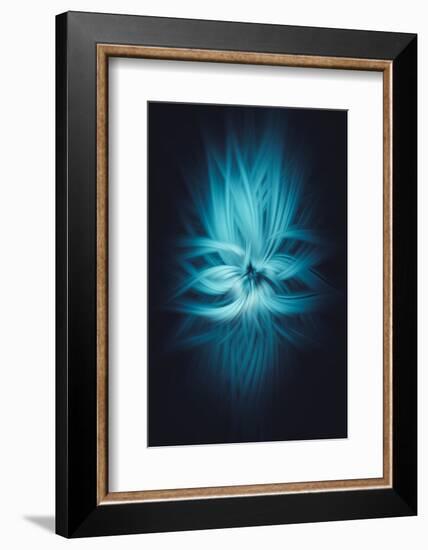 Trinity Collection 80-Philippe Saint-Laudy-Framed Premium Photographic Print