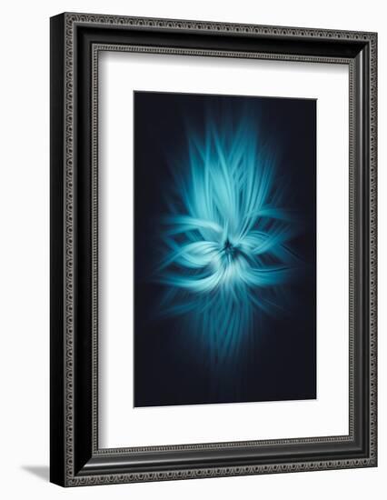 Trinity Collection 80-Philippe Saint-Laudy-Framed Premium Photographic Print