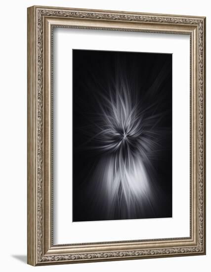 Trinity Collection 88-Philippe Saint-Laudy-Framed Photographic Print
