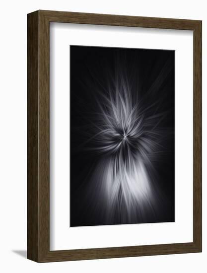 Trinity Collection 88-Philippe Saint-Laudy-Framed Photographic Print