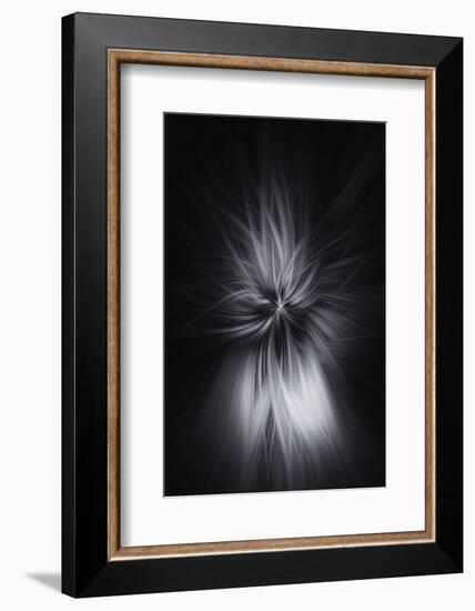 Trinity Collection 88-Philippe Saint-Laudy-Framed Premium Photographic Print