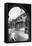 Trinity College, Cambridge, 1926-null-Framed Premier Image Canvas