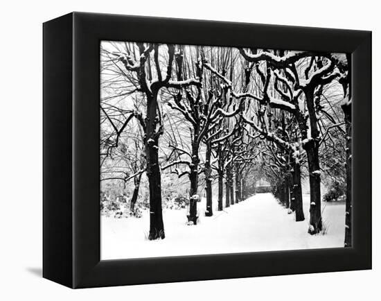 Trinity College, Oxford, Oxfordshire-Henry Taunt-Framed Premier Image Canvas