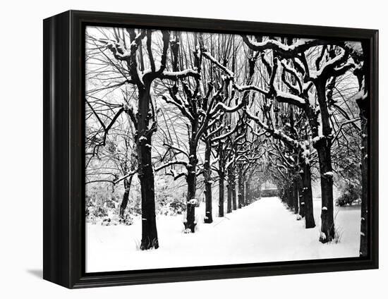 Trinity College, Oxford, Oxfordshire-Henry Taunt-Framed Premier Image Canvas
