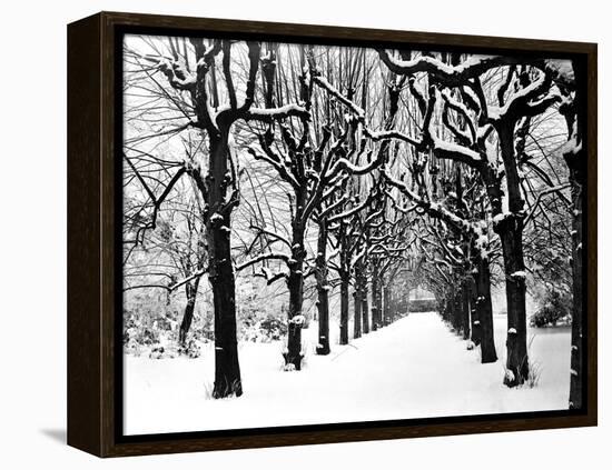 Trinity College, Oxford, Oxfordshire-Henry Taunt-Framed Premier Image Canvas
