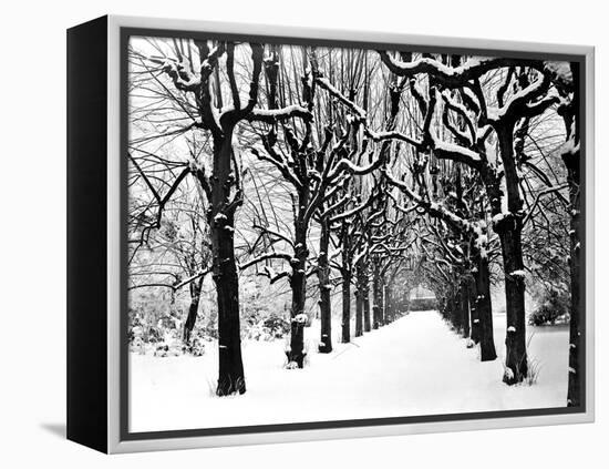 Trinity College, Oxford, Oxfordshire-Henry Taunt-Framed Premier Image Canvas