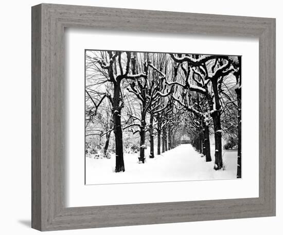 Trinity College, Oxford, Oxfordshire-Henry Taunt-Framed Photographic Print