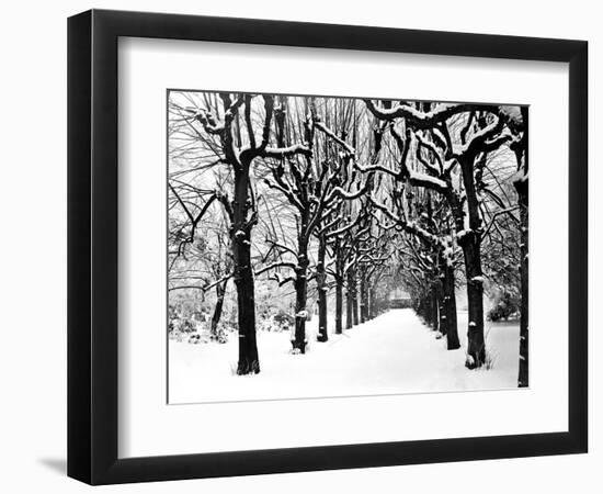 Trinity College, Oxford, Oxfordshire-Henry Taunt-Framed Photographic Print