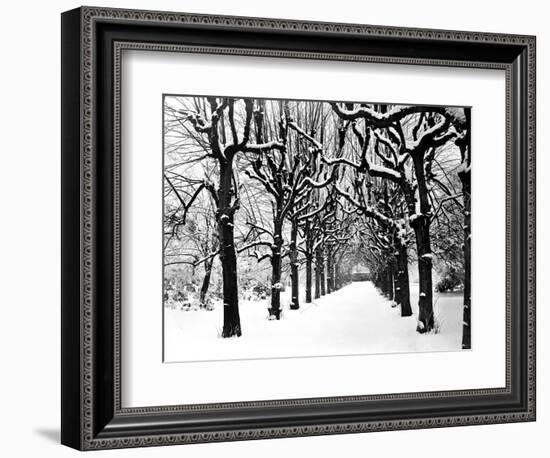 Trinity College, Oxford, Oxfordshire-Henry Taunt-Framed Photographic Print
