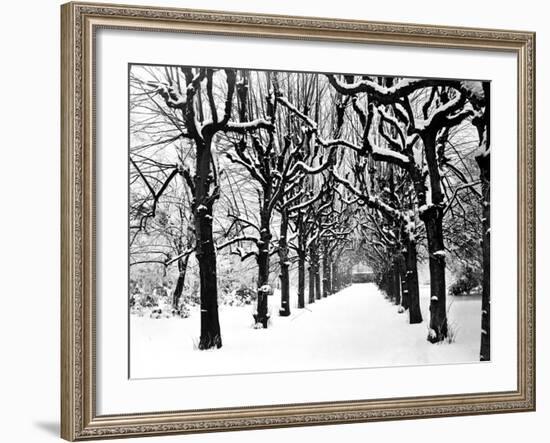 Trinity College, Oxford, Oxfordshire-Henry Taunt-Framed Photographic Print