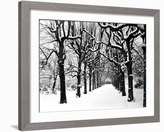 Trinity College, Oxford, Oxfordshire-Henry Taunt-Framed Photographic Print