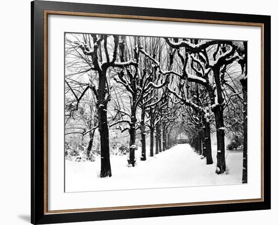 Trinity College, Oxford, Oxfordshire-Henry Taunt-Framed Photographic Print