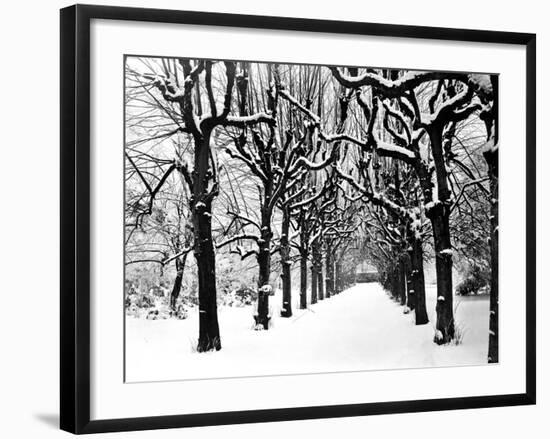 Trinity College, Oxford, Oxfordshire-Henry Taunt-Framed Photographic Print