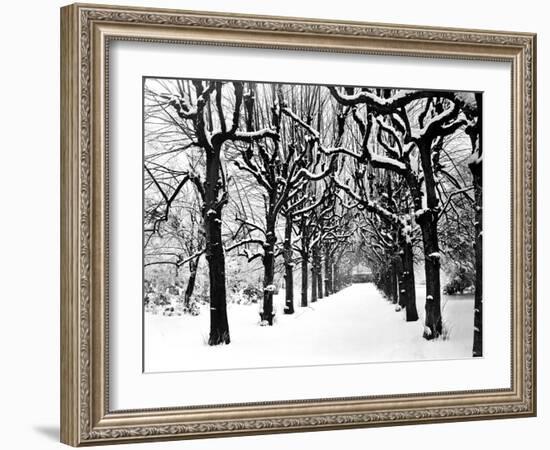 Trinity College, Oxford, Oxfordshire-Henry Taunt-Framed Photographic Print