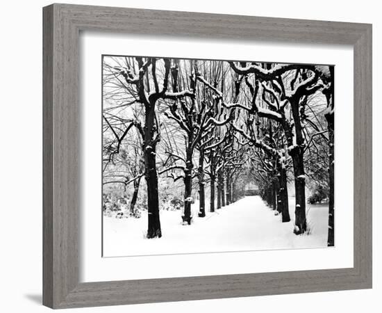 Trinity College, Oxford, Oxfordshire-Henry Taunt-Framed Photographic Print