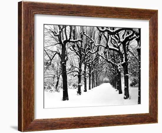 Trinity College, Oxford, Oxfordshire-Henry Taunt-Framed Photographic Print