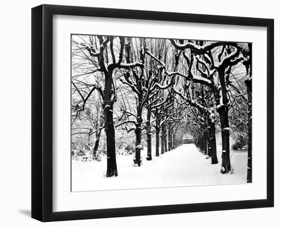 Trinity College, Oxford, Oxfordshire-Henry Taunt-Framed Photographic Print