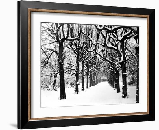 Trinity College, Oxford, Oxfordshire-Henry Taunt-Framed Photographic Print