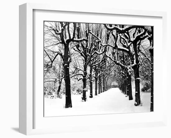 Trinity College, Oxford, Oxfordshire-Henry Taunt-Framed Photographic Print