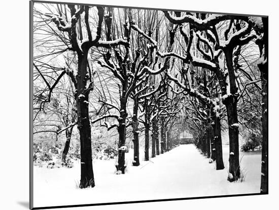 Trinity College, Oxford, Oxfordshire-Henry Taunt-Mounted Photographic Print