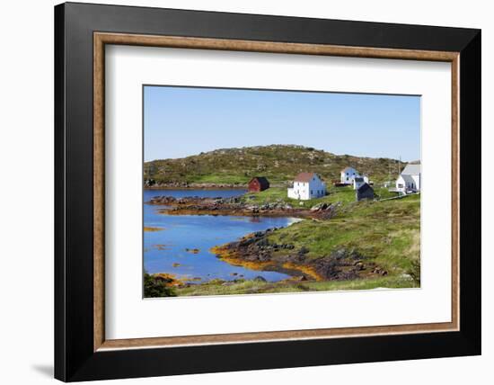 Trinity, Newfoundland, Canada-Greg Johnston-Framed Photographic Print