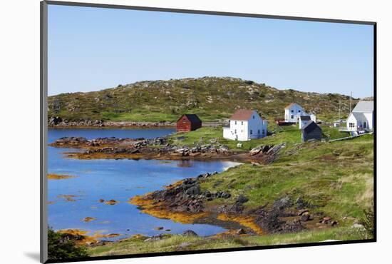 Trinity, Newfoundland, Canada-Greg Johnston-Mounted Photographic Print