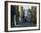 Trinity Street, Cambridge, Cambridgeshire, England, United Kingdom, Europe-Tomlinson Ruth-Framed Photographic Print