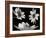 Trio I-Jim Christensen-Framed Photographic Print